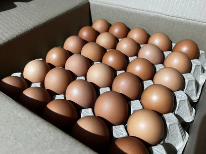 Fresh farm 20 Large Caged eggs 800g (per tray)